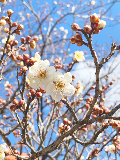 研修日記