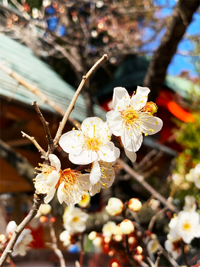 研修日記