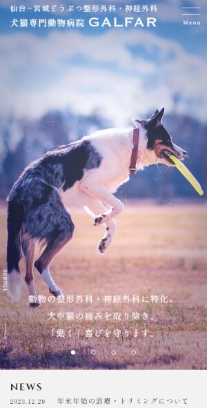 犬猫専門動物病院『仙台−宮城どうぶつ整形外科・神経外科GALFAR（ガルファ―）』様